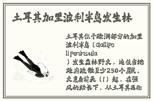 免费国产短视频app软件ios
